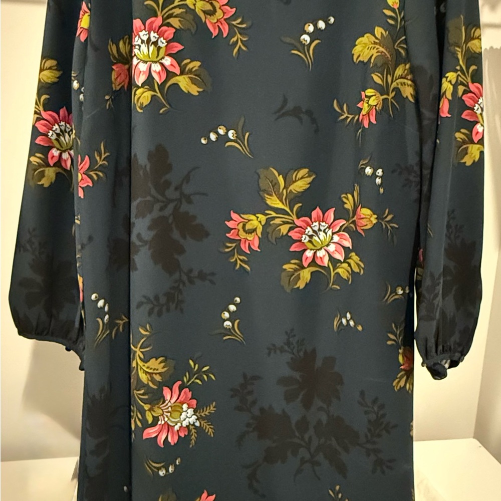 Ann Taylor Floral Long Sleeve Dress - Blue, Black, Pink